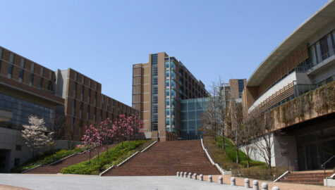 東北医科薬科大学